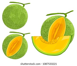 Melon - Whole fruit and a piece of fruit