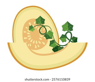 Melon whole fruit and slice. Vector illustration cartoon flat icon isolated on white. Melon vitamins icon for your design. Vector illustration, Chamoe melon, or Korean. Cantaloupe, tasty.