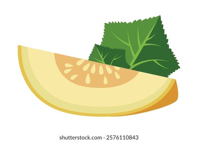 Melon whole fruit and slice. Vector illustration cartoon flat icon isolated on white. Melon vitamins icon for your design. Vector illustration, Chamoe melon, or Korean. Cantaloupe, tasty.