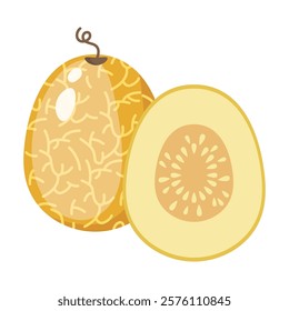 Melon whole fruit and slice. Vector illustration cartoon flat icon isolated on white. Melon vitamins icon for your design. Vector illustration, Chamoe melon, or Korean. Cantaloupe, tasty.