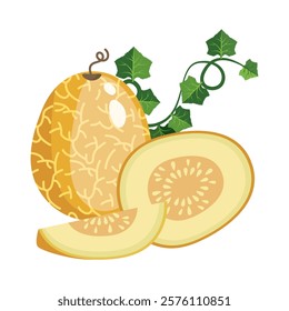 Melon whole fruit and slice. Vector illustration cartoon flat icon isolated on white. Melon vitamins icon for your design. Vector illustration, Chamoe melon, or Korean. Cantaloupe, tasty.