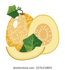 Melon whole fruit and slice. Vector illustration cartoon flat icon isolated on white. Melon vitamins icon for your design. Vector illustration, Chamoe melon, or Korean. Cantaloupe, tasty.