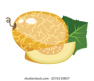 Melon whole fruit and slice. Vector illustration cartoon flat icon isolated on white. Melon vitamins icon for your design. Vector illustration, Chamoe melon, or Korean. Cantaloupe, tasty.