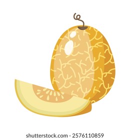 Melon whole fruit and slice. Vector illustration cartoon flat icon isolated on white. Melon vitamins icon for your design. Vector illustration, Chamoe melon, or Korean. Cantaloupe, tasty.