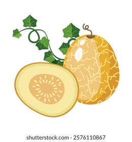 Melon whole fruit and slice. Vector illustration cartoon flat icon isolated on white. Melon vitamins icon for your design. Vector illustration, Chamoe melon, or Korean. Cantaloupe, tasty.