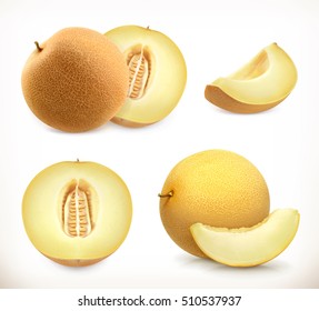 Melon. Whole and pieces. Sweet fruit. 3d vector icons set. Realistic illustration