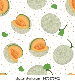 Melon whole seamless pattern on white background, Fresh cantaloupe melon pattern background, Fruit vector illustration.