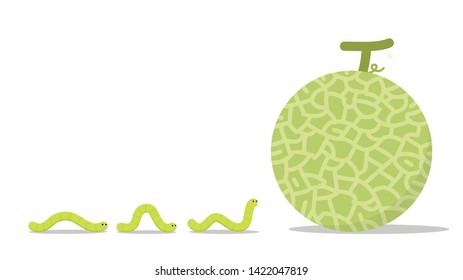 Melon and worm vector. wallpaper. free space for text. copy space. poster.