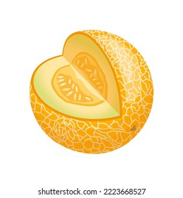 melon yellow cartoon. fruit honey, slice food, summer orange, healthy organic, diet half, sweet cut, fresh green melon yellow vector illustration
