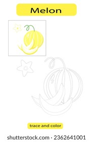 Melon, yellow fruit color, children's learning development, dotted line tracing vector EPS10