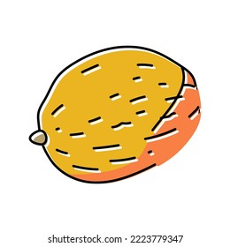 melon yellow one color icon vector. melon yellow one sign. isolated symbol illustration