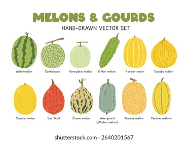 Melons and Gourds flat vector illustration set in cartoon clipart style. Watermelon, cantaloupe, honeydew melon, bitter melon, casaba melon, gac fruit, crane melon, wax gourd