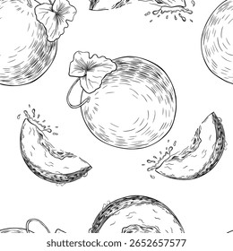 Melons outline vector seamless pattern. Muskmelon, leaf and juicy slice with drops hand drawn black white on repeat background. Round summer fruit line art sketch for packaging, sweet produce print.