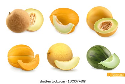 Melons, sweet fruits. 3d realistic vector icon set