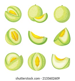 Melons, sweet fruits. 3d realistic vector illustration set
