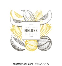 Melons with tropical leaves design template. Hand drawn vector exotic fruit illustration. Retro style fruit banner. 