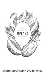 Melons with tropical leaves design template. Hand drawn vector exotic fruit illustration. Retro style fruit banner. 