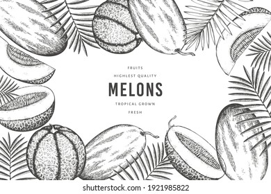 Melones con plantilla de diseño de hojas tropicales. Ilustración de frutas exóticas con vector dibujado a mano. Pancarta de fruta de estilo retro. 