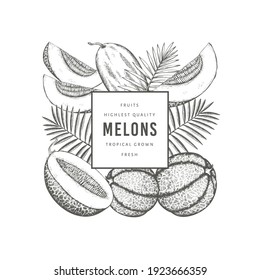 Melons with tropical leaves design template. Hand drawn vector exotic fruit illustration. Retro style fruit banner. 