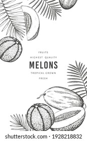 Melons with tropical leaves design template. Hand drawn vector exotic fruit illustration. Retro style fruit banner. 