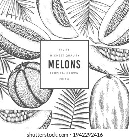 Melons with tropical leaves design template. Hand drawn vector exotic fruit illustration. Retro style fruit banner. 