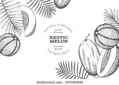 Melons with tropical leaves design template. Hand drawn vector exotic fruit illustration. Retro style fruit banner. 