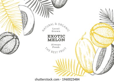 Melons with tropical leaves design template. Hand drawn vector exotic fruit illustration. Retro style fruit banner. 