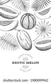 Melons with tropical leaves design template. Hand drawn vector exotic fruit illustration. Retro style fruit banner. 