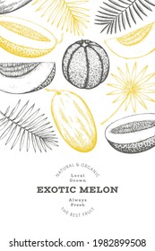 Melons with tropical leaves design template. Hand drawn vector exotic fruit illustration. Retro style fruit banner. 