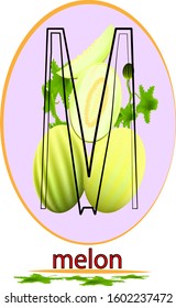 
melons yellow and green, solid, cutaway and a quarter on the background of the letter M, inscription and leaves below