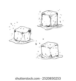 Melting ice cubes with water drips in black and white sketch. Three ice cubes melting and dripping water are illustrated in a detailed black and white style