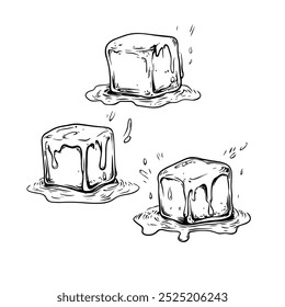 Melting ice cubes with water drips in black and white sketch. Three ice cubes melting and dripping water are illustrated in a detailed black and white style