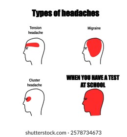 Meme about school test. Humor for social media.