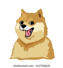 Moneda Meme Doge shiba inu sobre fondo blanco