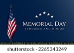 Memorial Day Background Design. Remember and Honor. Banner, Poster, Greeting Card. Vector Illustration.
