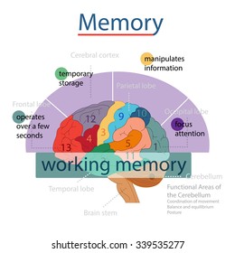 Memory.