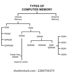 memory can be divided into primary and secondary memory, moreover, there are numerous types  when discussing just primary memory. some types of primary memory include ,  computer pc digital education