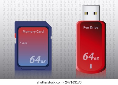 Memory Card and Pen Drive