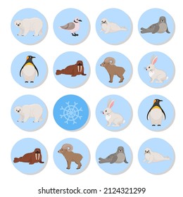 Memory game for preschool children, vector cards with arctic animals. Find two identical picture. Kids activity page for book. 