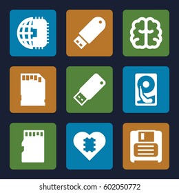 memory icons set. Set of 9 memory filled icons such as brain, diskette, flash drive, memory card, usb drive, hard disc, CPU in heart