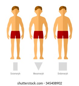 Men Body Types