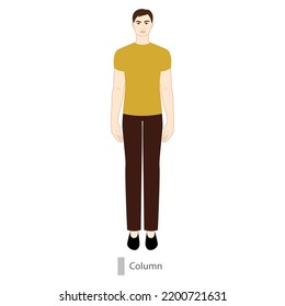 Carácter de forma del cuerpo de la columna masculina. Esbozo esquemático del vector masculino ilustración aislada 9 tamaño de la cabeza Animación de la figura del Caballero concepto de la vista frontal niño para el dibujo de la moda sobre fondo blanco