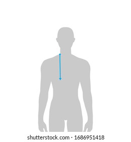 Hombres para hacer la medida de profundidad de la armadura Mostración para la tabla de tamaño. 7.5 tamaño cabeza chico para sitio o tienda en línea. Plantilla de infografía corporal humana para ropa. 