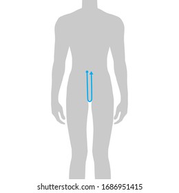 Hombres para hacer la medida de profundidad de crotch moda Ilustración para la tabla de tamaño. 7.5 tamaño cabeza chico para sitio o tienda en línea. Plantilla de infografía corporal humana para ropa. 