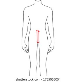 Männer zu tun Schritttiefe Messung Mode Illustration für Größe Diagramm. 7,5 Headsize Junge für Website oder Online-Shop. Der menschliche Körper Infografik Vorlage für Kleidung. 