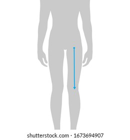 Men to do crotch to knee measurement fashion Illustration for size chart. 7.5 head size boy for site or online shop. Human body infographic template for clothes. 
