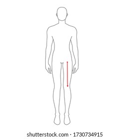 Men to do crotch to knee measurement fashion Illustration for size chart. 7.5 head size boy for site or online shop. Human body infographic template for clothes. 