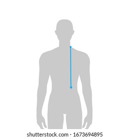 Men to do HPS -high point shoulder- to waist measurement fashion Illustration for size chart. 7.5 head size boy for site or online shop. Human body infographic template for clothes
