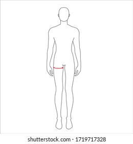 Hombres para hacer la medida máxima del muslo moda Ilustración para la tabla de tamaño. 7.5 tamaño cabeza chico para sitio o tienda en línea. Plantilla de infografía corporal humana para ropa. 
