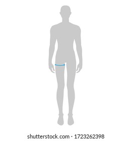 Hombres para hacer la medida máxima del muslo moda Ilustración para la tabla de tamaño. 7.5 tamaño cabeza chico para sitio o tienda en línea. Plantilla de infografía corporal humana para ropa. 